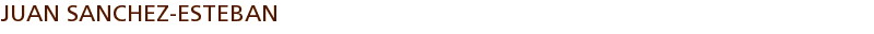 JUAN SANCHEZ-ESTEBAN