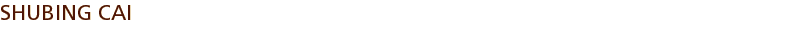 SHUBING CAI